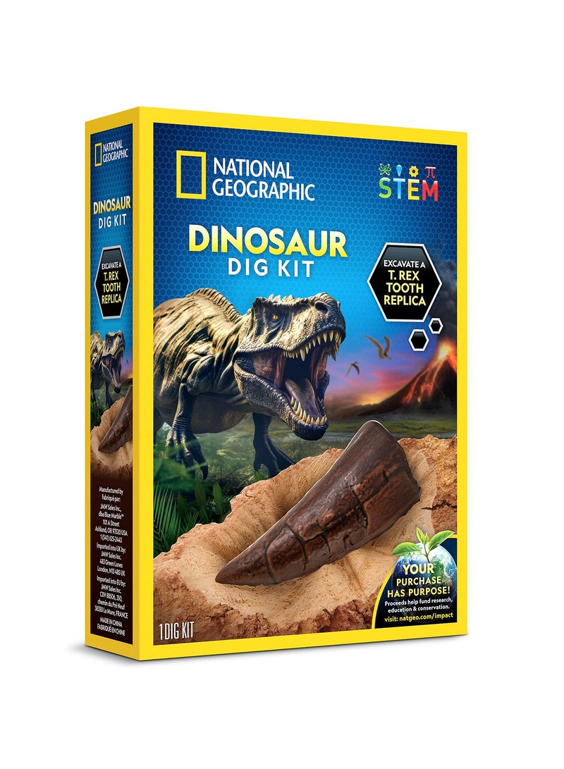 NATIONAL GEOGRAPHIC Dino Fossil Dig Kit - Image 2