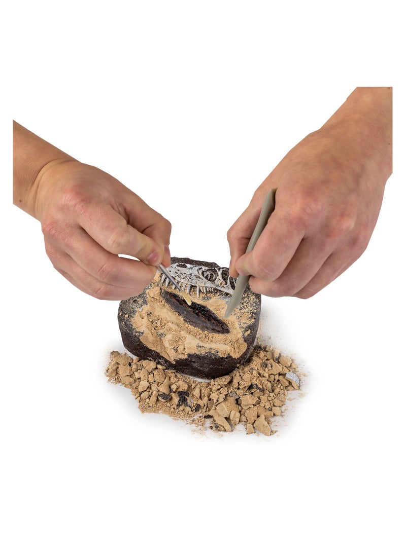 NATIONAL GEOGRAPHIC Dino Fossil Dig Kit - Image 5