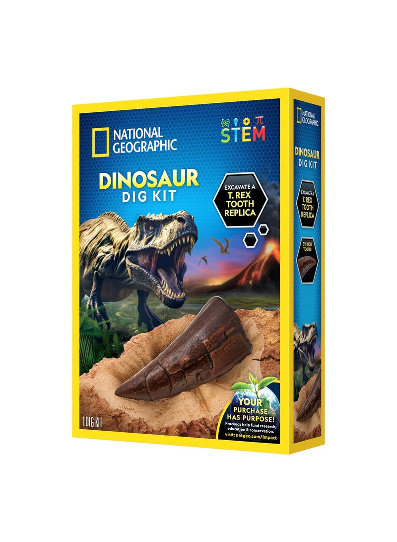 NATIONAL GEOGRAPHIC Dino Fossil Dig Kit - Image 3
