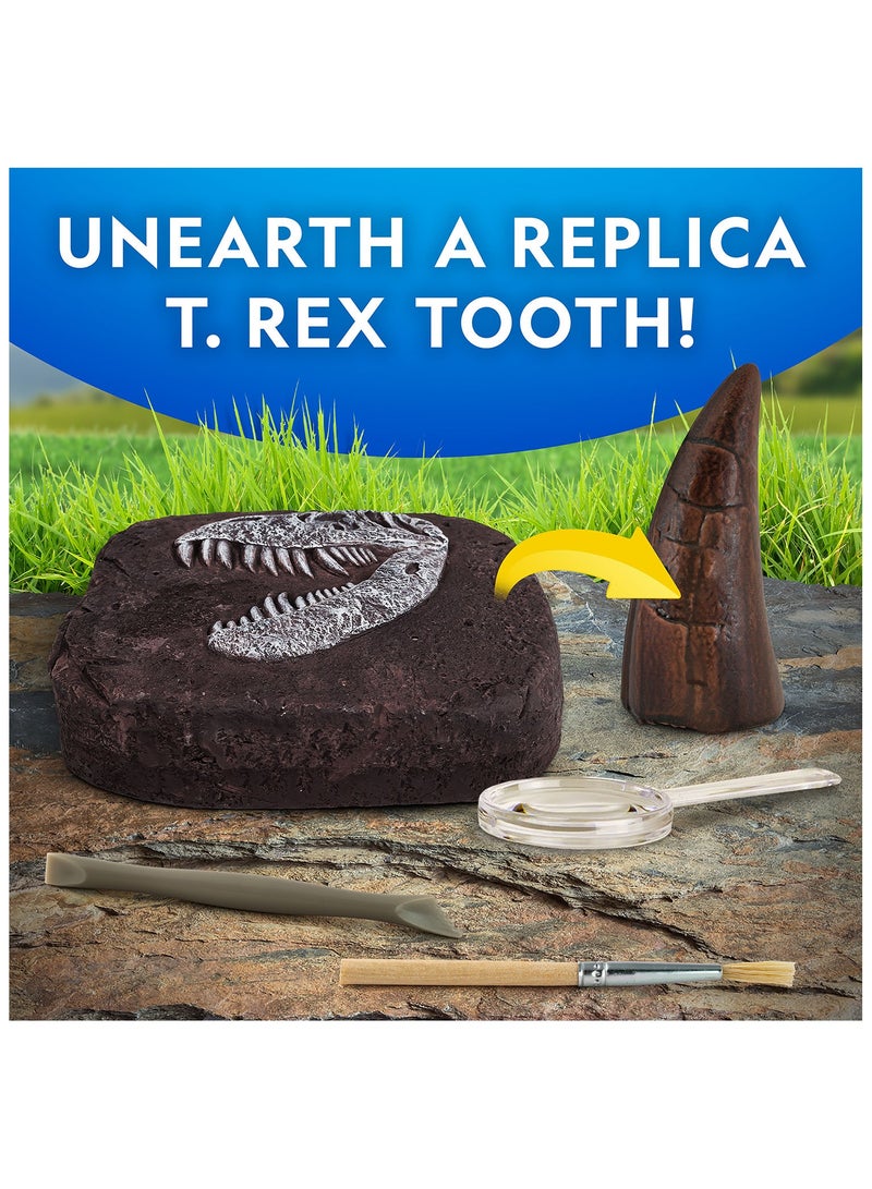 NATIONAL GEOGRAPHIC Dino Fossil Dig Kit - Image 4