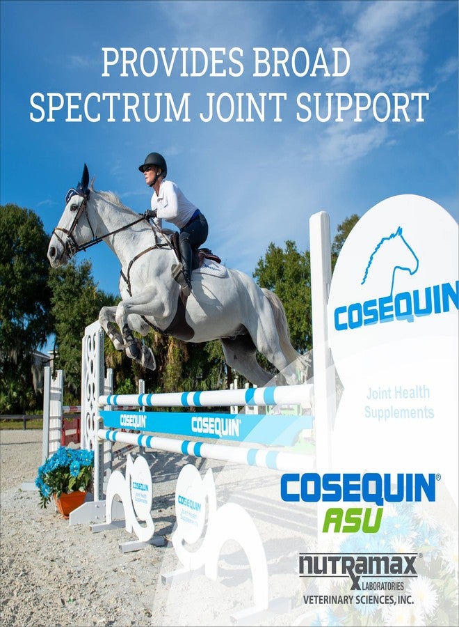 Cosequin Nutramax ASU Joint Health Supplement for Horses - Powder with Glucosamine, Chondroitin, ASU, and MSM, 500 Grams - Image 4