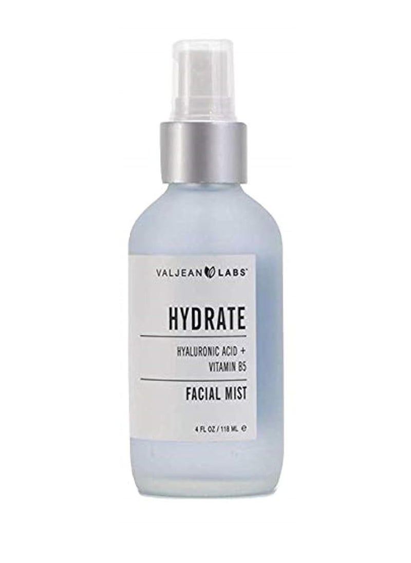 Valjean Labs Face Mist - Hydrate | Hyaluronic Acid + Vitamin B5 | Helps to Hydrate and Plump Skin and Restore Elasticity | Paraben Free, Cruelty Free, Made in USA (4 oz) - pzsku/Z0918FC06A9BFE67C5C98Z/45/1741079012/4f6671d6-959a-4e04-ac12-2990237b80c9