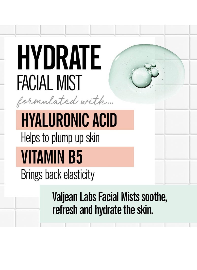 Valjean Labs Face Mist - Hydrate | Hyaluronic Acid + Vitamin B5 | Helps to Hydrate and Plump Skin and Restore Elasticity | Paraben Free, Cruelty Free, Made in USA (4 oz) - pzsku/Z0918FC06A9BFE67C5C98Z/45/1741079075/ee146945-f52e-48e6-8b6d-7a1e3230b1ef