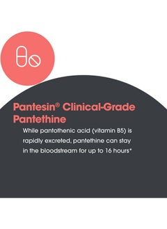 Allergy Research Group Pantethine Supplement - Vitamin B5, Pantothenic Acid, Metabolism Support, Liver Support, Cardiovascular Supplement, Coenzyme A, 660mg Vegetarian Capsules - 60 Count - pzsku/Z0919E92A64F8BD788E59Z/45/_/1740202787/02608093-1a60-4eeb-a465-e5a931b50fa4