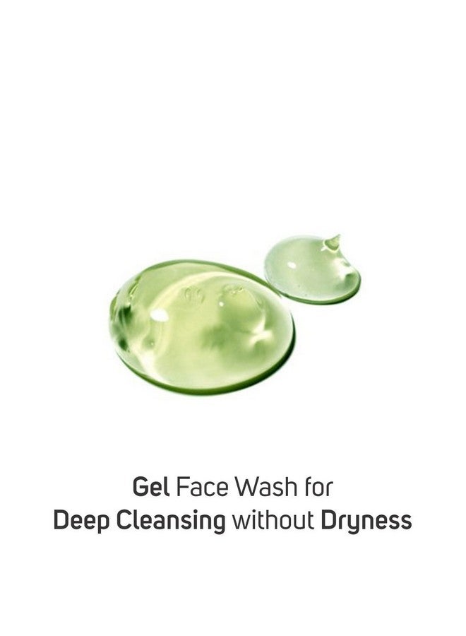 Vegetal Vegetal Tea Tree Face Wash- Made of 100% natural extracts of Green Tea, Neem, Manjistha, & Khajoor- Anti Acne, Oil control, Free of Parabens, SLES & Harmful Chemicals  - Image 4