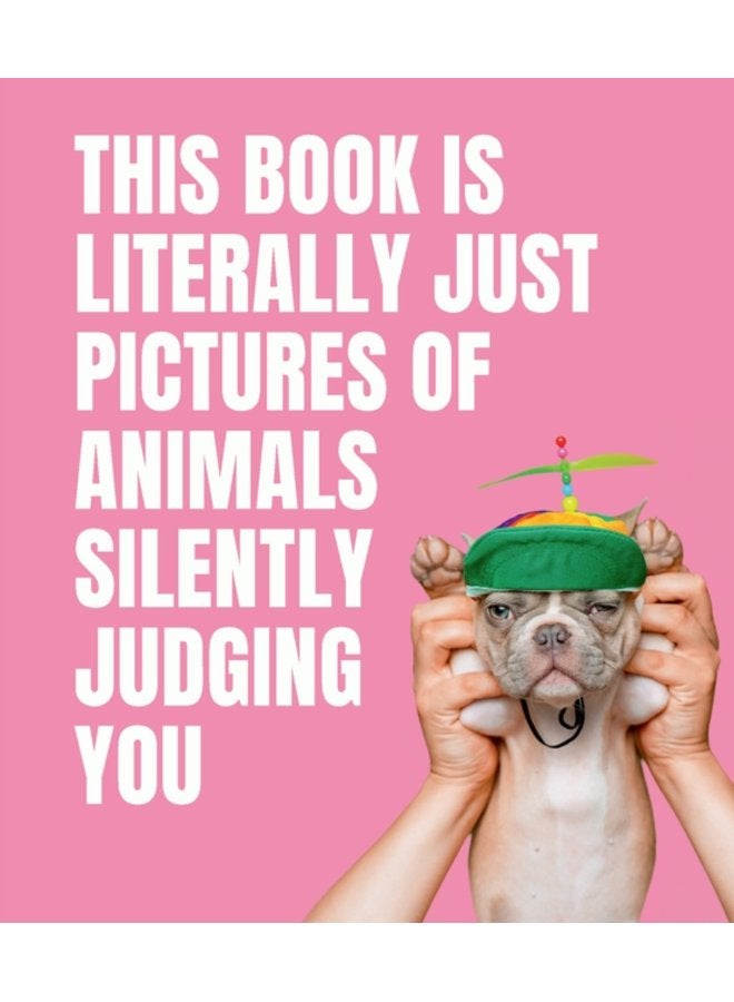 This Book is Literally Just Pictures of Animals Silently Judging You - Hardback