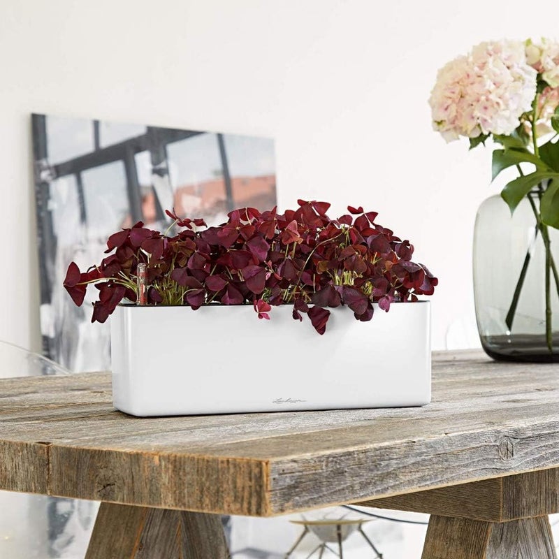 Lechuza 13670 Cube Glossy Triple Self-Watering Garden Planter for Indoor and Outdoor Use, White H14 L40 W14 cm - Image 4