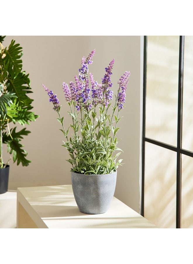 Home Box Liara Lavender Potted Plant 50 cm  - Image 1
