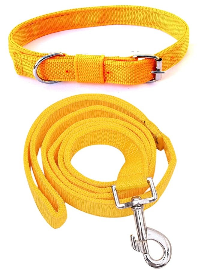 PEDIGONE Dog Belt Combo of Dog Collar with Dog Leash Specially for Small Breeds Dog Collar Leash (Yellow) - Image 1