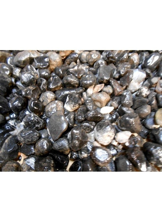 Generic - Rock Tumbler Gem Refill Kit New Mexico Apache Tears Black Obsidian (Volcanic Glass) Mix Rough 8 Oz - Image 1