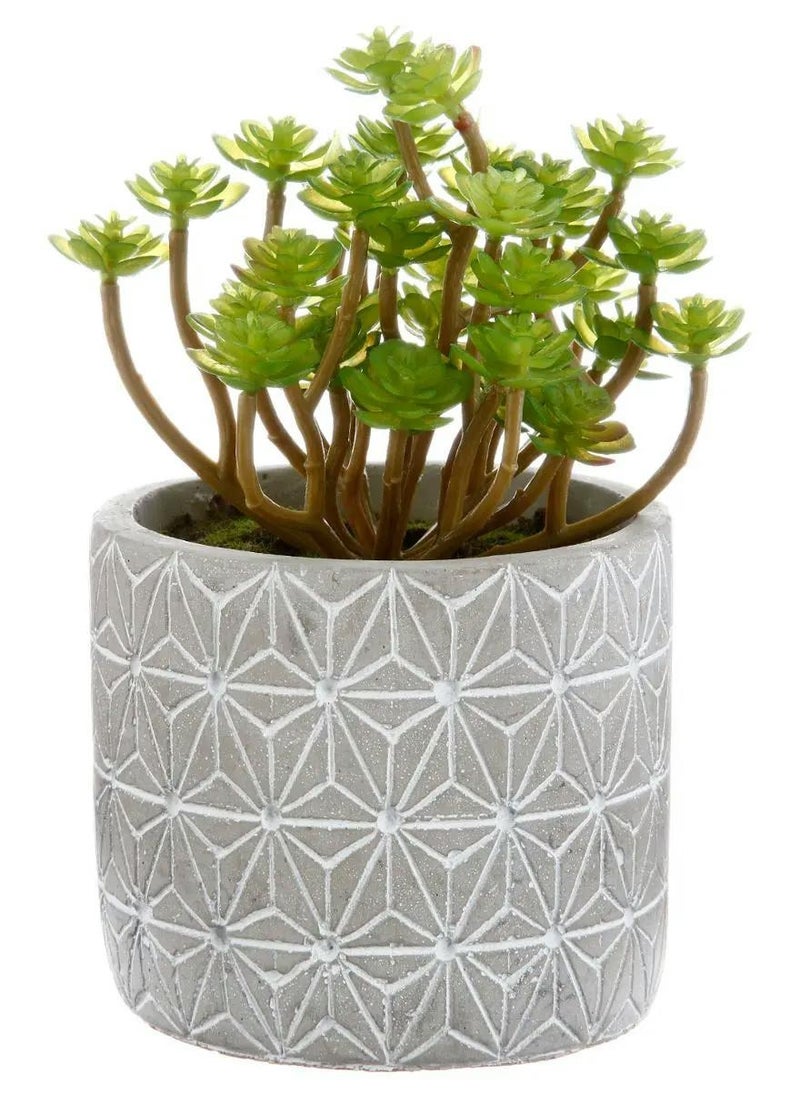 LOFT SUCCULENT,PLANT POT,D16XH17.5CMS,GREEN,CEMENT-145004 