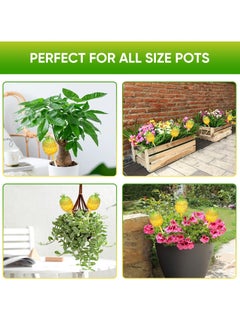 SYOSI Plant Watering Globes Large Capacity Self Watering Planter Insert for Indoor Outdoor Plants Self Plant Watering Devices for Plant Lovers Glass Watering Globes for Everyday Use 3 Pack  - Image 5