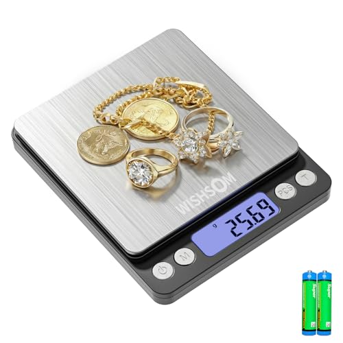 WISHSOM Professional Jewelry Scale, 500g x 0.01g High Precision Digital Gold Scale, Portable Precious Metal Gram Scale for Jewelers, Pawn Shops, Coin Dealers, Gold & Silver Weighing - Image 1