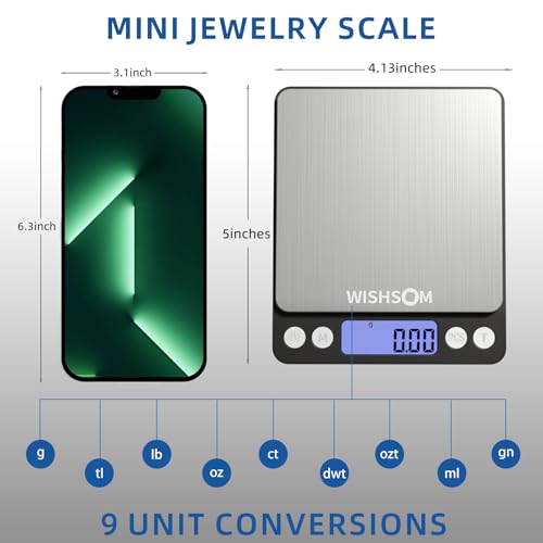 WISHSOM Professional Jewelry Scale, 500g x 0.01g High Precision Digital Gold Scale, Portable Precious Metal Gram Scale for Jewelers, Pawn Shops, Coin Dealers, Gold & Silver Weighing - Image 5