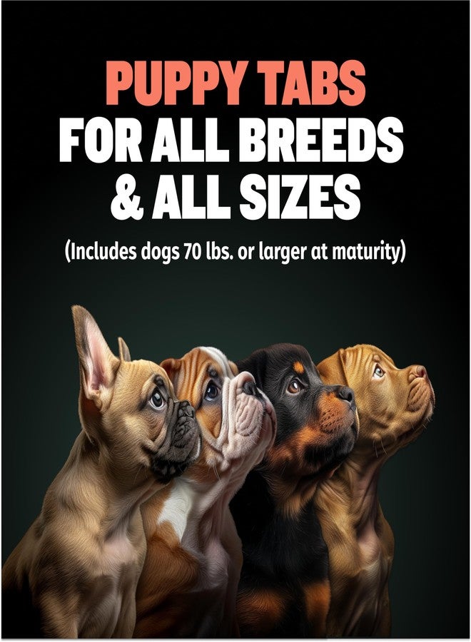 Bully Max 2-in-1 Puppy Vitamins - 30 Chewable Tablets for Development and Growth of Puppies - Dog Treats, Vitamin & Supplements for Small Dogs & Large Breed Growing Pups - Can Be Used as Food Topper - Image 2