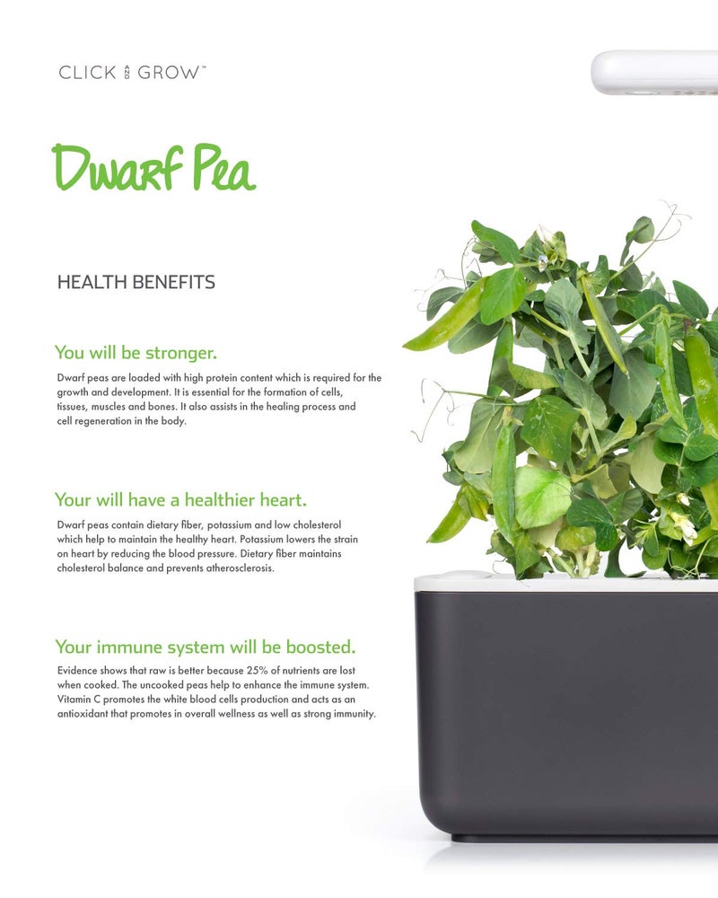CLICK AND GROW Click and Grow Smart Garden Dwarf Pea Plant Pods, 3-Pack  - Image 3