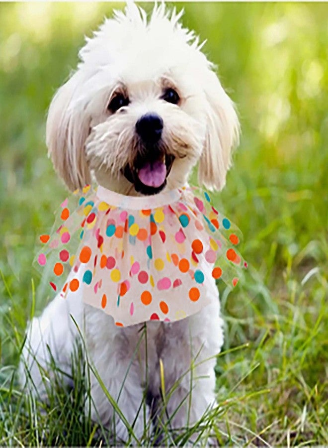 كامبسيس طوق كلاب كامبسيس بألوان قوس قزح ونقاط ملونة، طوق قابل للتعديل، طقم قبعة عيد ميلاد، طوق جرو للكلاب الصغيرة والمتوسطة (ML) - Image 4