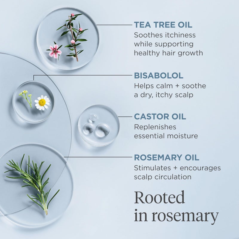 Briogeo Scalp Revival Rosemary Pre-Wash Oil - Moisturizing Scalp Treatment for Dry, Flaky, or Itchy Scalp, Strengthens Hair & Soothes Scalp, Vegan & Cruelty-Free, 3.4 oz - Image 5