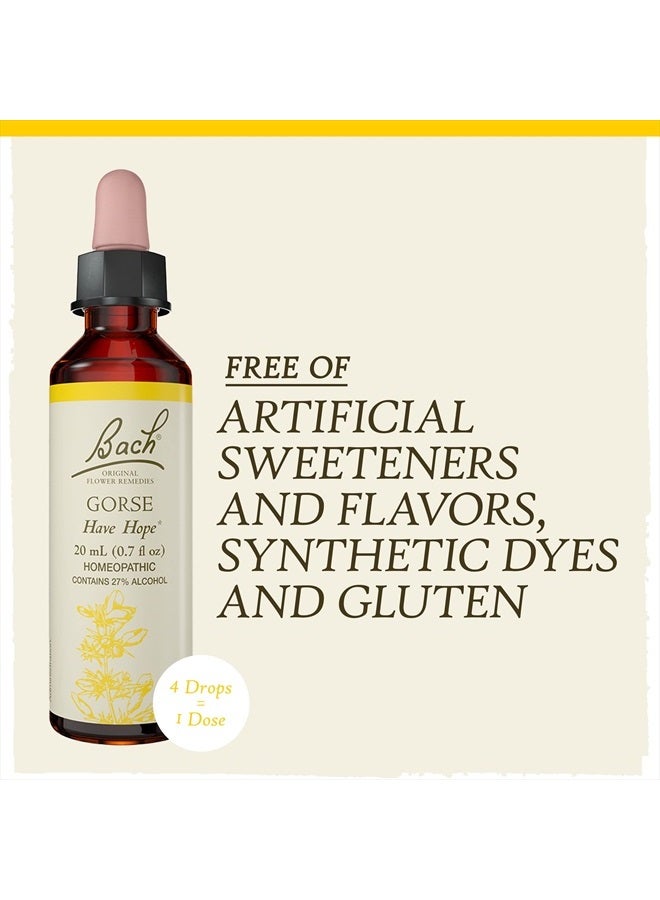 Bach Original Flower Remedies, Gorse for Hope, Natural Homeopathic Flower Essence, Holistic Wellness and Stress Relief, Vegan, 20mL Dropper  - Image 5