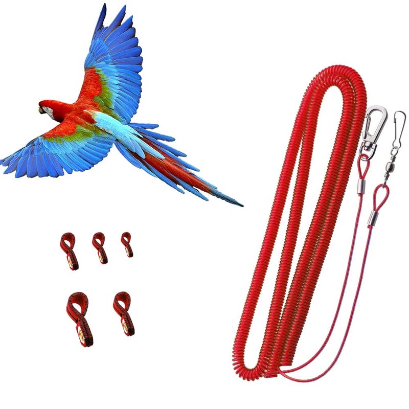 kcrygogo Bird Harness Leash Antibite Outdoor Red Flying Training Rope with 5pcs Different Sizes of Soft Foot Loops and Training WhistleUpgraded Version of Ankle Ring - Image 2