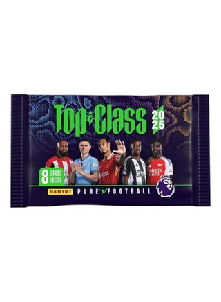 Panini EPL Top Class 2025 Trading Cards Single Pack (Assorted 1 Piece) - pzsku/Z09281A229E88E2B488BBZ/45/1750624123/ce1a80b9-531a-4774-a8da-fe54760377cd