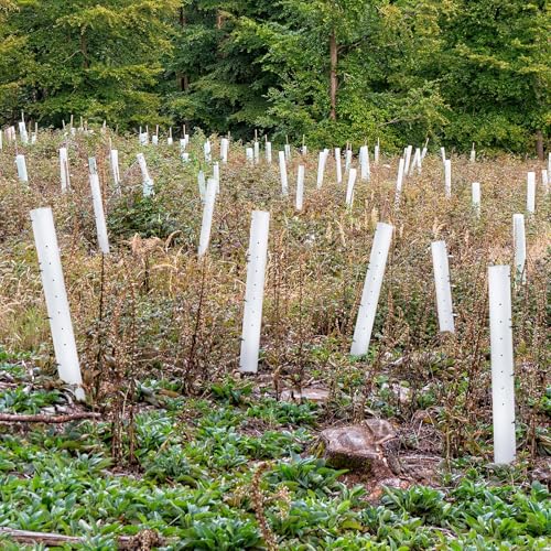 Pushglossy 10 Pack 48 Inch Tree Seedling Sapling Grow Tubes Standard Vented Seedling Protectors Split Tree Grow Protector with Releasable Zip Tie Plant Shelter for Cuttings Outdoor (White) - Image 5
