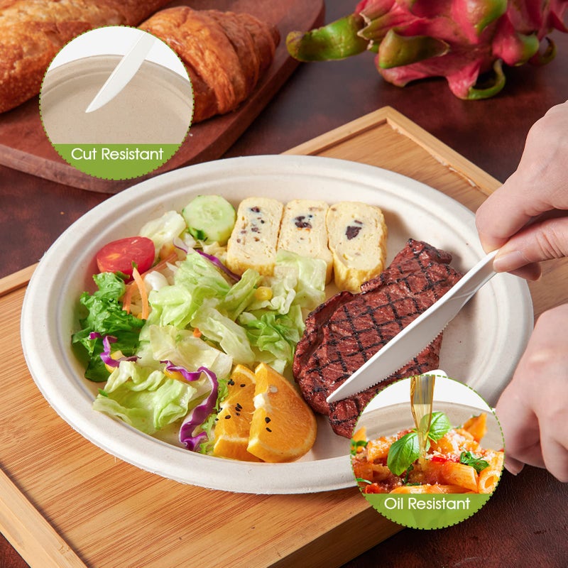 ECOLipak 100% Compostable 10 Inch Paper Plates, 125 Pack Heavy Duty Disposable Biodegradable Eco-friendly Sugarcane Bagasse Plates for Dinner Party - Image 5