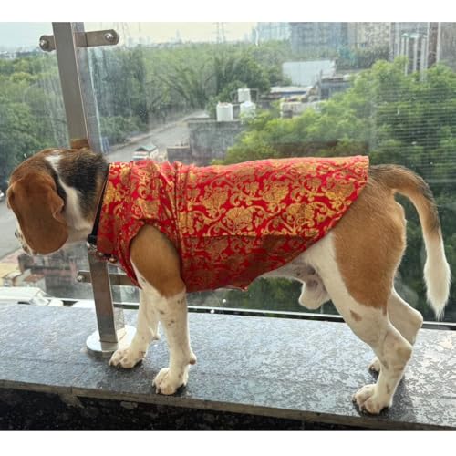 Lulala Traditional Dog Sherwani for Wedding & Festivals, Ethnic Indian Outfit for Pets, Designer Pet Costume with Embroidery & Velcro Closure, Small to Large Dogs (Red 24 Inch) - Image 1