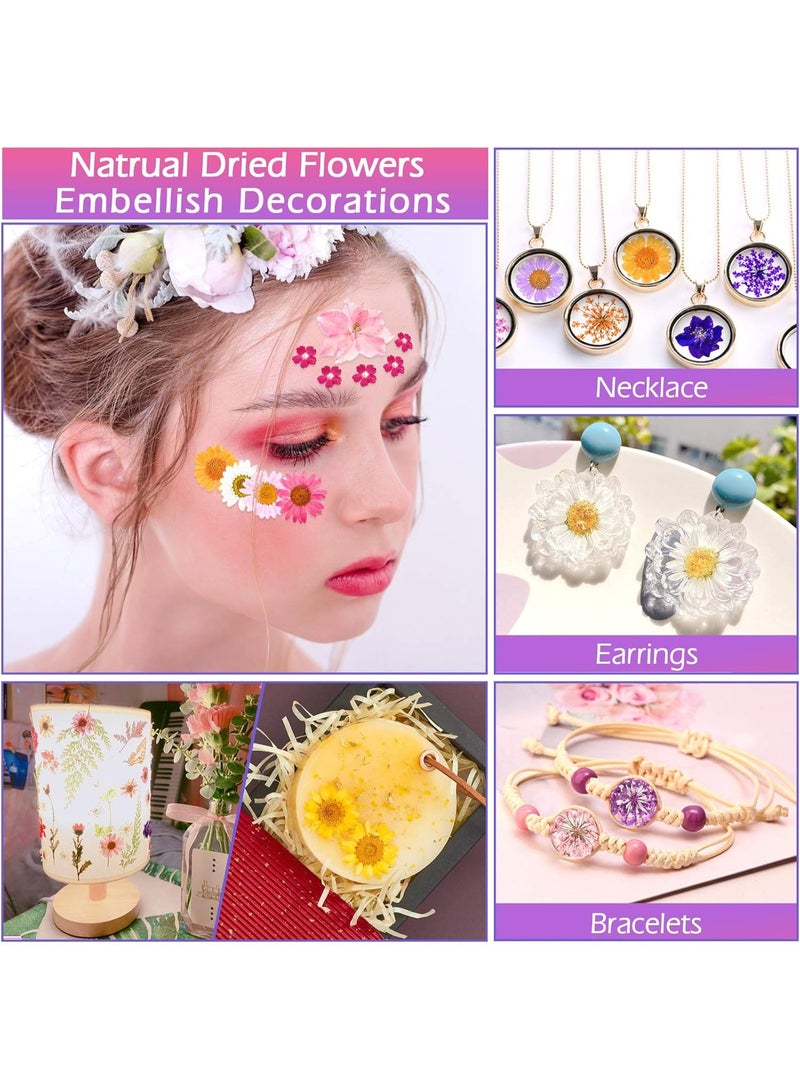 VIUAUAX 35Pcs Dried Pressed Flowers for Resin, Real Pressed Flowers Dry Leaves Bulk Natural Herbs Kit for Scrapbooking DIY Art Crafts, Epoxy Resin Jewelry Molds, Candle, Soap Making, Nails Décor - Image 5