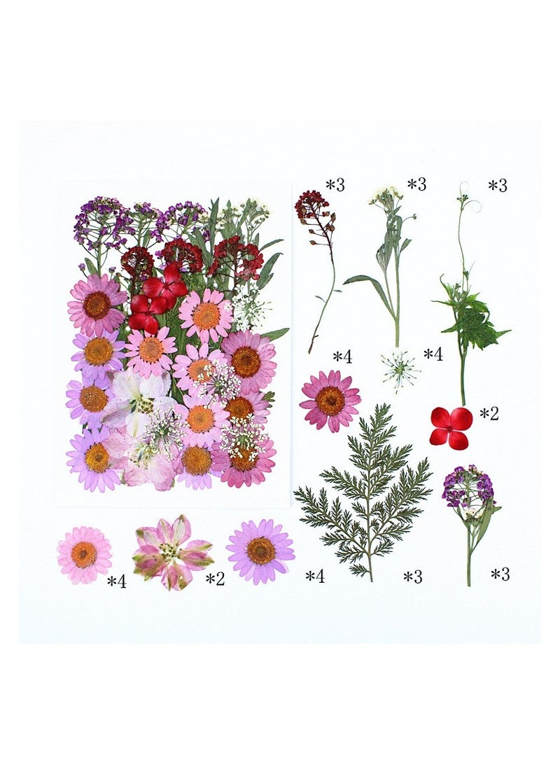 VIUAUAX 35Pcs Dried Pressed Flowers for Resin, Real Pressed Flowers Dry Leaves Bulk Natural Herbs Kit for Scrapbooking DIY Art Crafts, Epoxy Resin Jewelry Molds, Candle, Soap Making, Nails Décor - Image 1