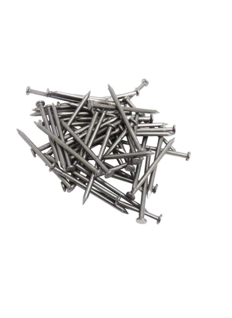 Generic - High Strength Round Head Nails For Carpentry Hardware Electrical Etc (600, 2 1/2 inch) - Image 1