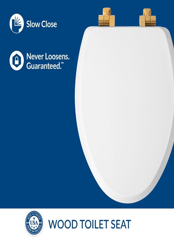 Mayfair 1826BGSL 000 Benton Toilet Seat Will Slow Close and Never Come Loose, Elongated, Durable Enameled Wood, White-Brushed Gold Hinges - Image 3