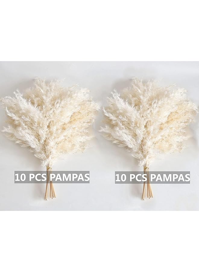 erorex White Pampas Grass For Home Decor Elegant Decor Premium Quality Pampas Grass Stems Perfect For House Nursery Western Wedding Table And Bohemian Decor 20Pcs  - Image 3