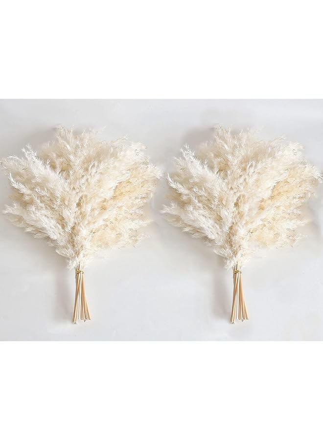 erorex White Pampas Grass For Home Decor Elegant Decor Premium Quality Pampas Grass Stems Perfect For House Nursery Western Wedding Table And Bohemian Decor 20Pcs  - Image 2
