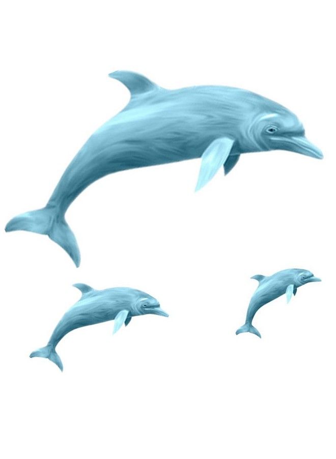 Amaonm Removable 3 Pcs Jumping Blue Dolphin Wall Decals Diy Wall Stickers 3D Nursery Art Decor Peel Stick Decoration Decal For Girls Bedroom Kids Bathroom Living Room Window Door Sticker Murals - Image 1