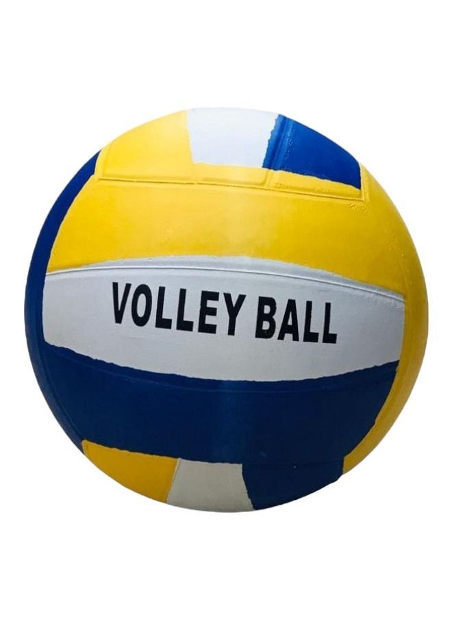 Toy Box Volleyball Official Weight And Size 5 