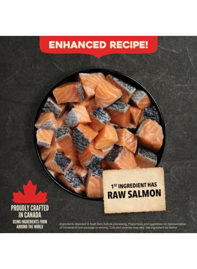 acana طعام جاف غني بالمغذيات للكلاب البالغة من أكانا كلاسيكس وايلد كوست 2 - Image 2