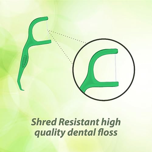 Dentoshine Deep Clean Dental Picks -Mint Flavored 50 ct CAN x 3 (Pack of 3) - Image 2