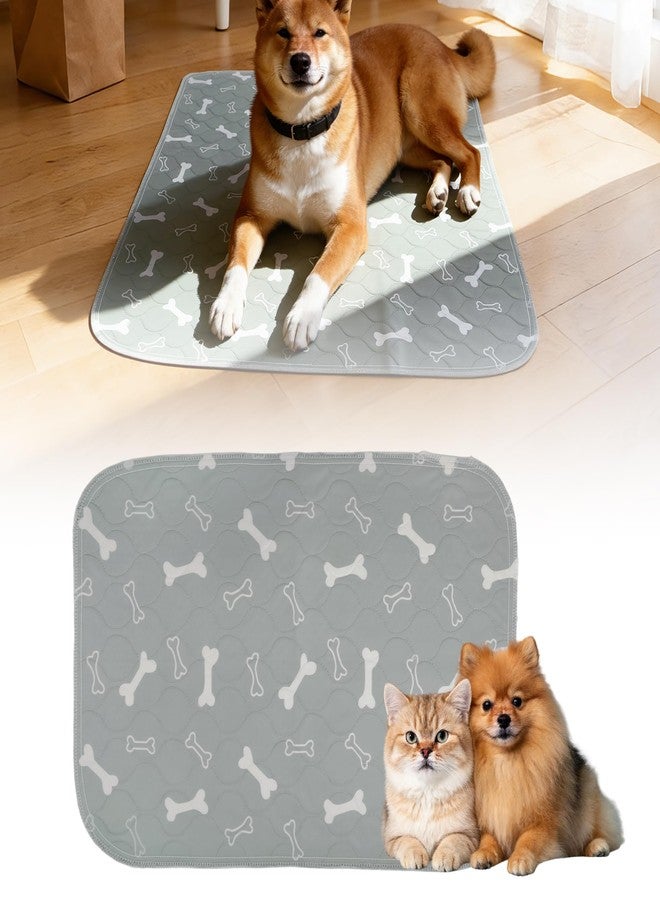 GLIDESMOOTH Unique Bargains Washable Pee Pads for Dogs, Reusable & Leak-Proof, Puppy Pad for Pet Training, Crate, Car, Small, Gray - Image 1