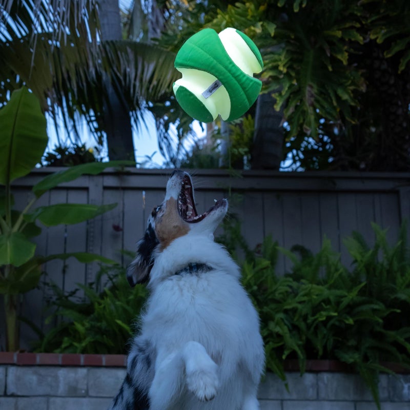 Chuckit! Kick Fetch Max Glow Ball, Large (8 Inch) Glow in the Dark Dog Toy - Image 4