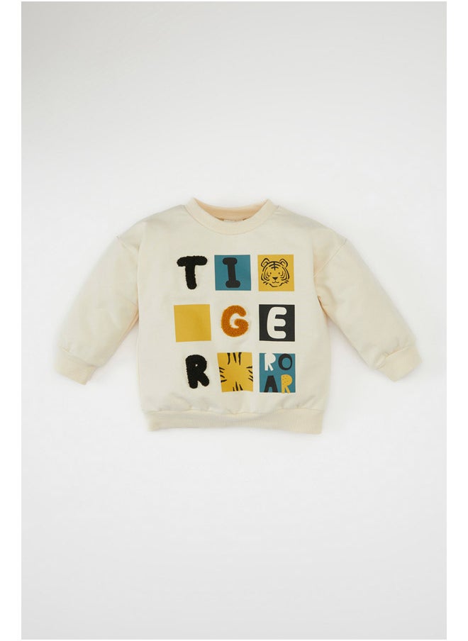 DeFacto Babyboy Knitted Regular Fit Bike Neck Long Sleeve Sweatshirt  - Image 3