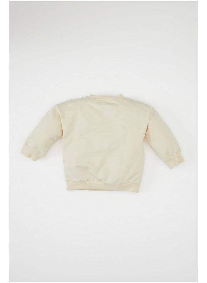 DeFacto Babyboy Knitted Regular Fit Bike Neck Long Sleeve Sweatshirt  - Image 4