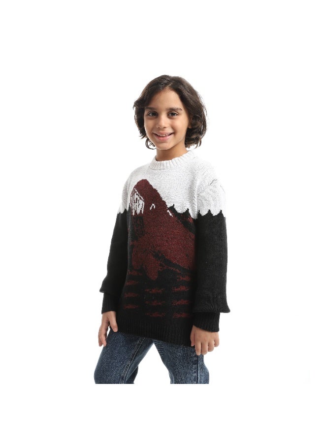 Caesar Boys' Dolphin Design Wool  pullover - Image 3