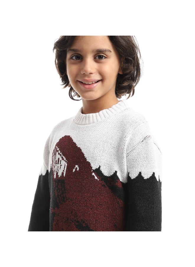 Caesar Boys' Dolphin Design Wool  pullover - Image 5