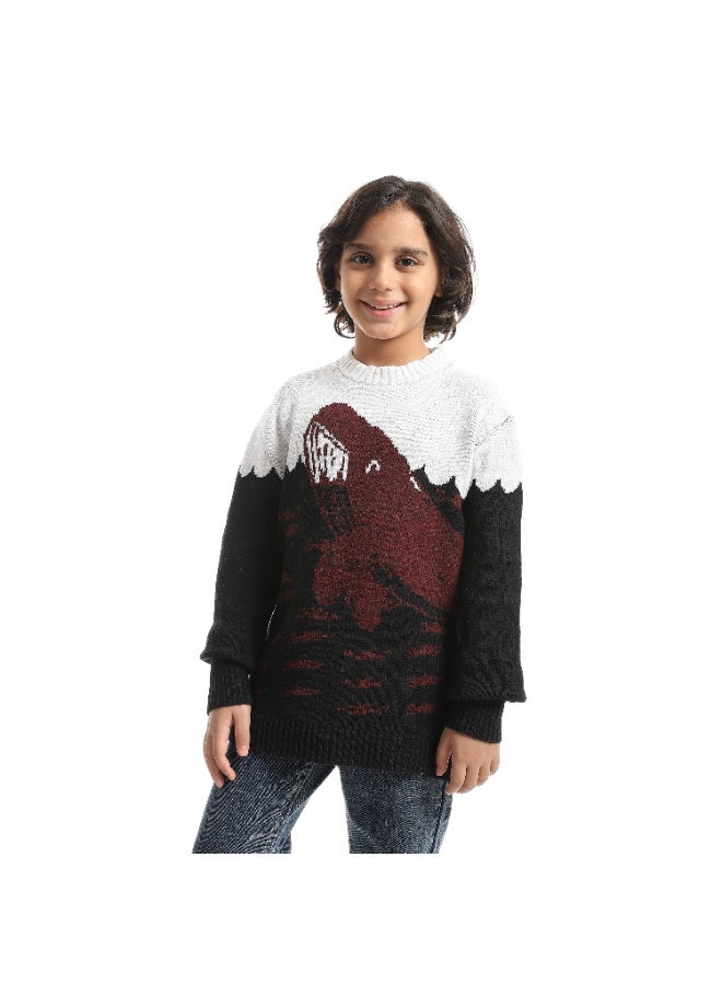 Caesar Boys' Dolphin Design Wool  pullover - Image 1