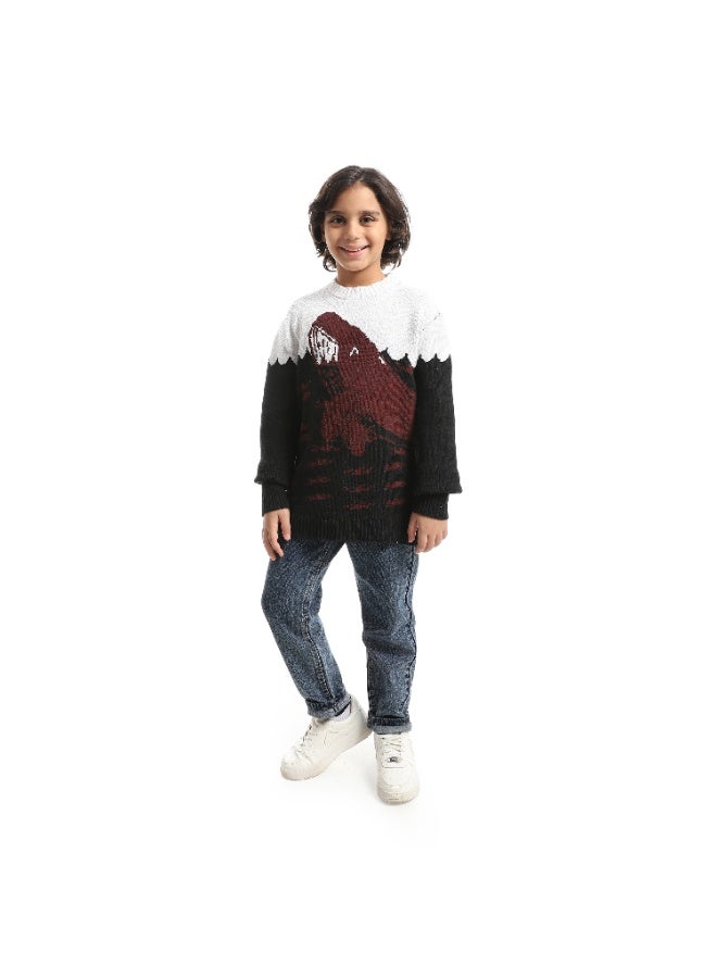 Caesar Boys' Dolphin Design Wool  pullover - Image 2