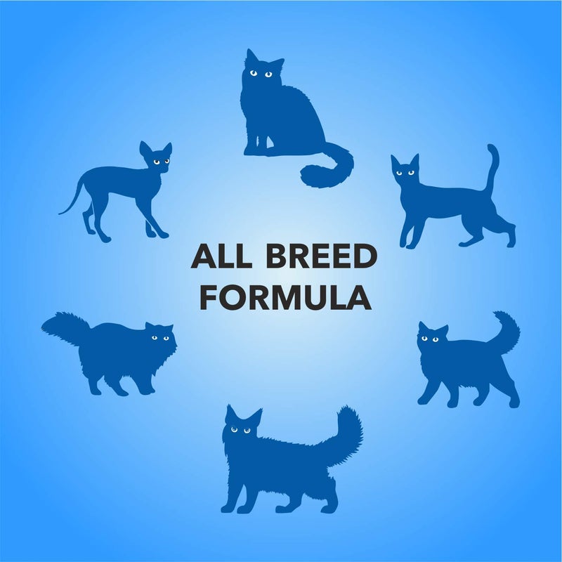 PUREPET طعام رطب للقطط من PUREPET بصلصة الدجاج والكبد 50 جرام عبوة من 30 (1.5 كجم) مناسبة لجميع مراحل الحياة - Image 2