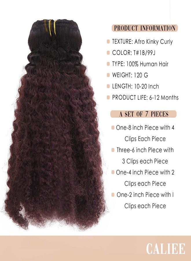 Caliee Afro Kinky Curly Clip ins Hair Extensions Double Weft Top Grade Brazilian Virgin Hair 7PCS Ombre Burgundy Wine Red 1B/99J 120 Gram,18 Inch - Image 4