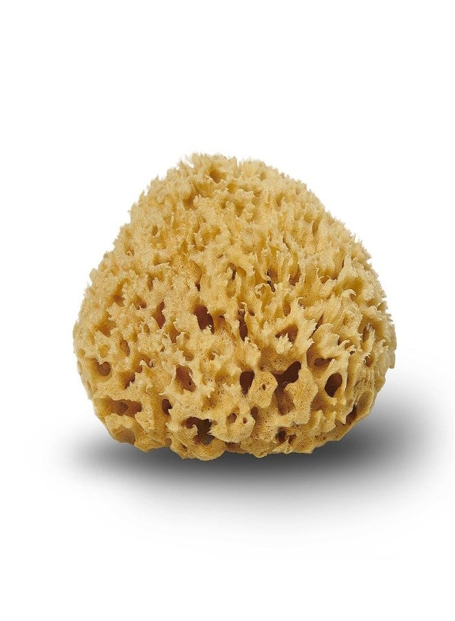 Crowncell Sea Wool Natural Baby Bath Sponge for Healthy Bathing, Loofah Sponge, 6 Inch - Image 3