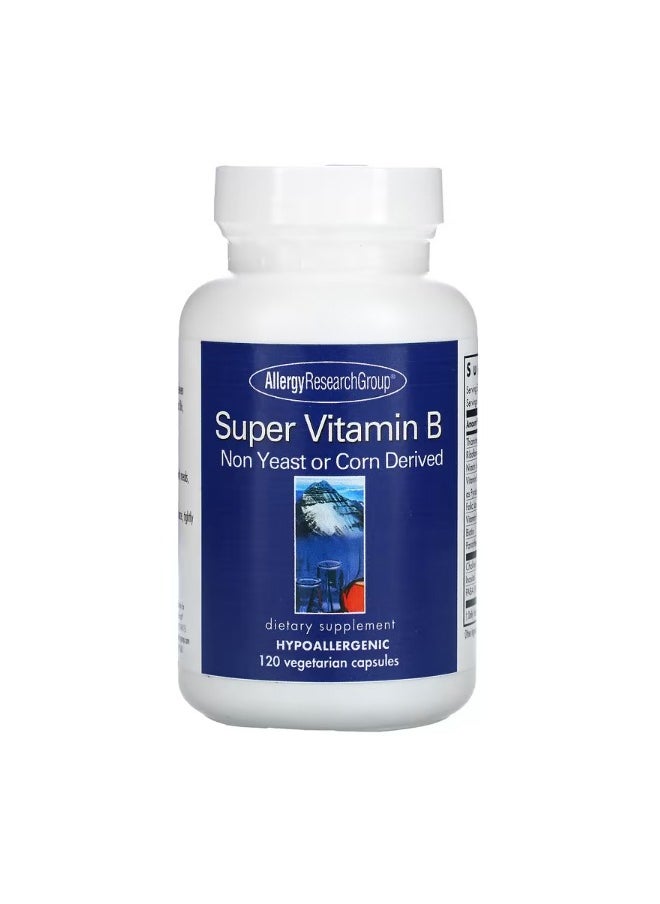 Allergy Research Group - Super Vitamin B Complex 120 Vegetarian Capsules - Image 1